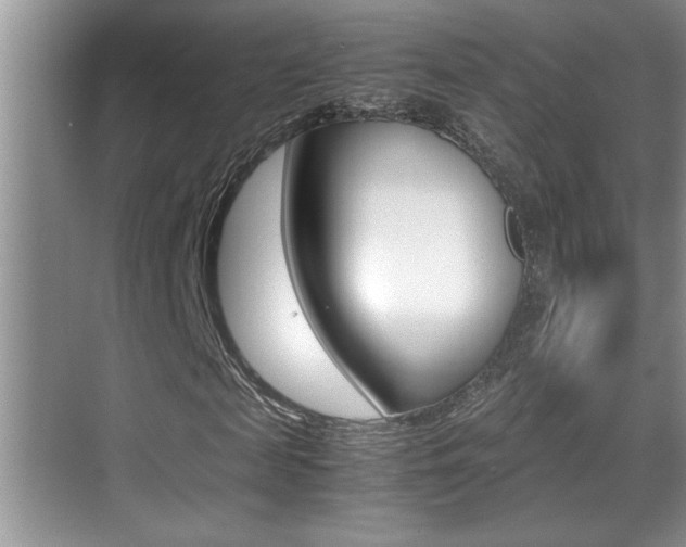 X0000070390817200606090858