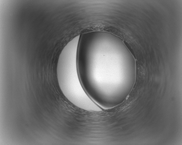 X0000070390818200606090858