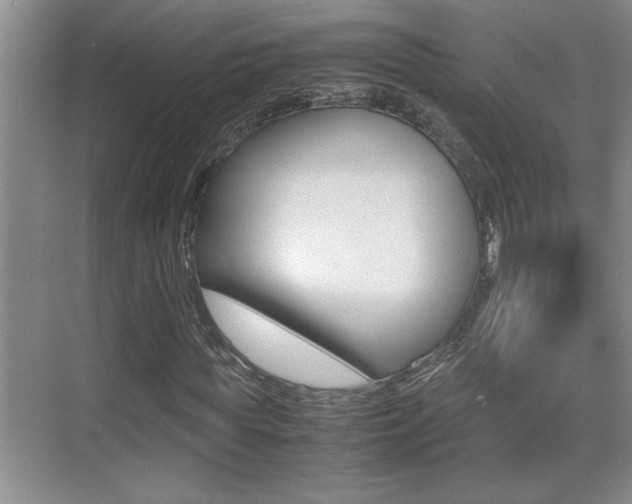 X0000070390819200606090858