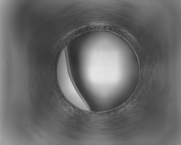 X0000070390821200606090858