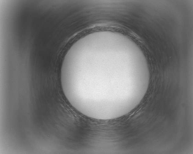 X0000070390822200606090858