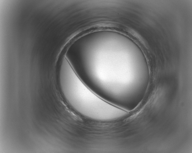 X0000070390829200606090858