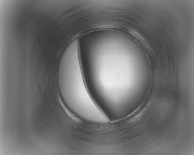 X0000070390841200606090858