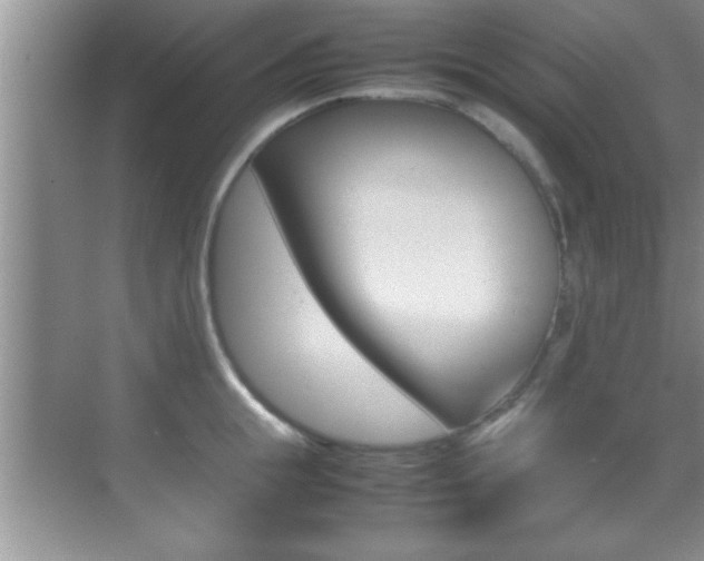 X0000070390855200606090859