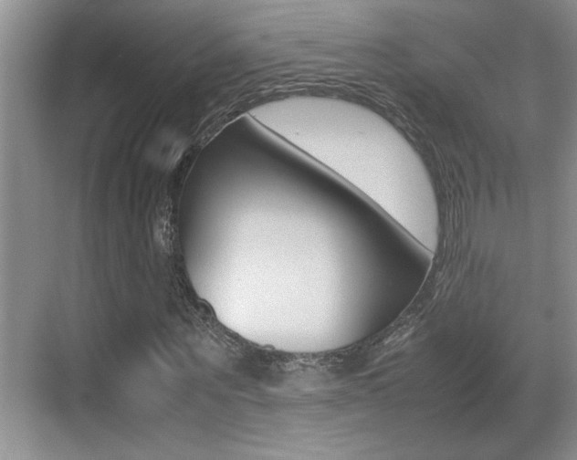 X0000070390867200606090858