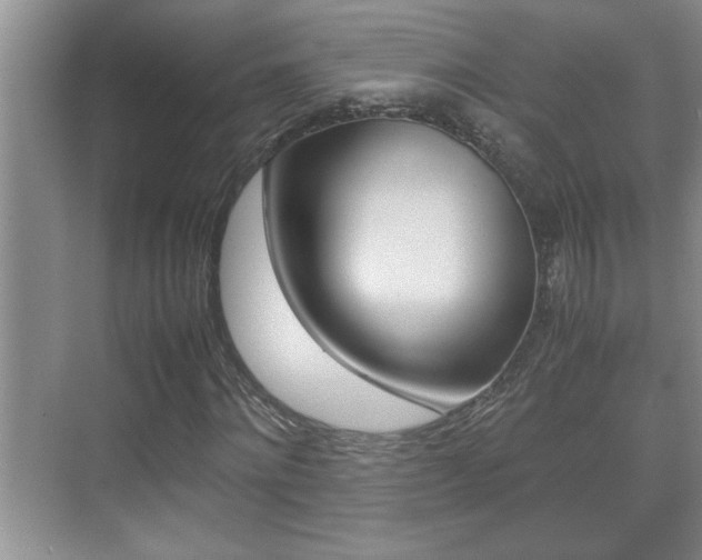 X0000070390868200606090858