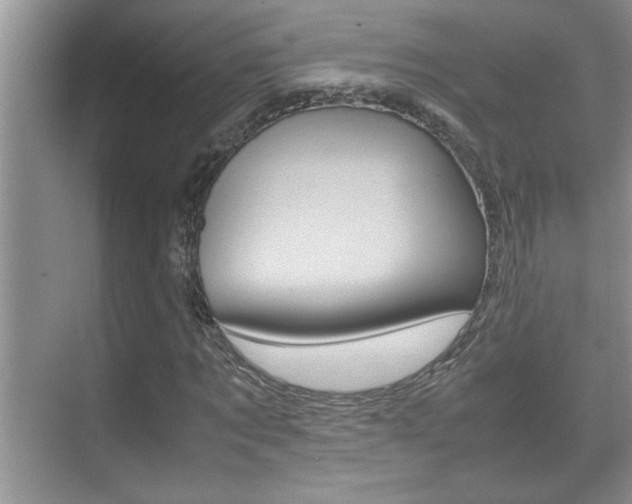 X0000070390869200606090858