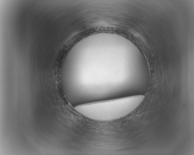X0000070390870200606090858