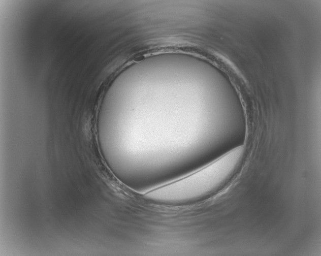X0000070390873200606090858