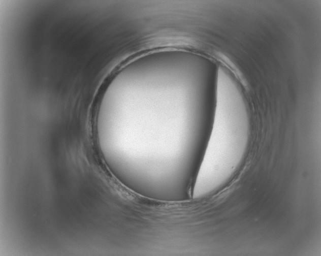 X0000070390883200606090858