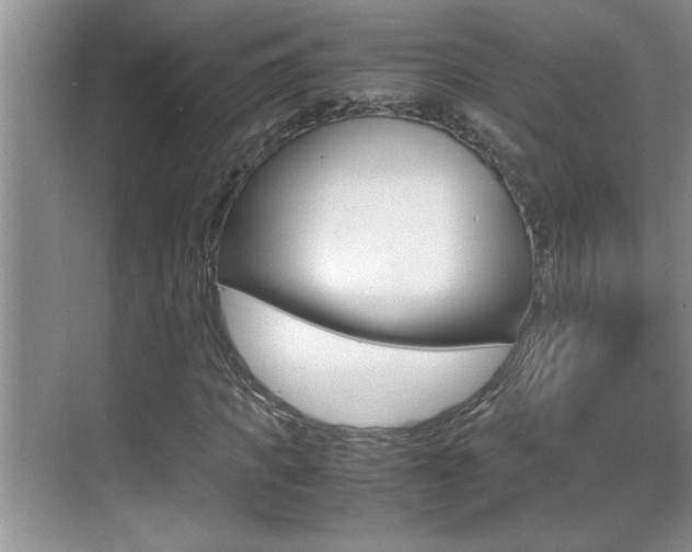 X0000070390917200606090857