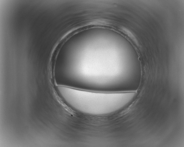 X0000070390931200606090857