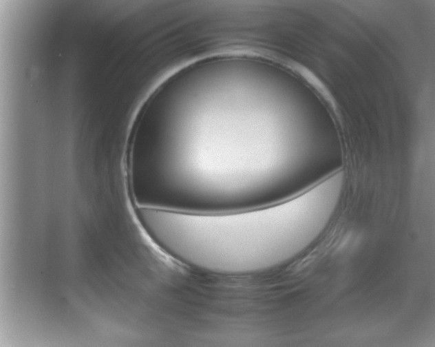 X0000070390951200606090857