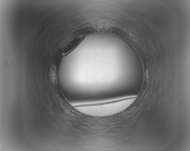 X0000070390963200606090856