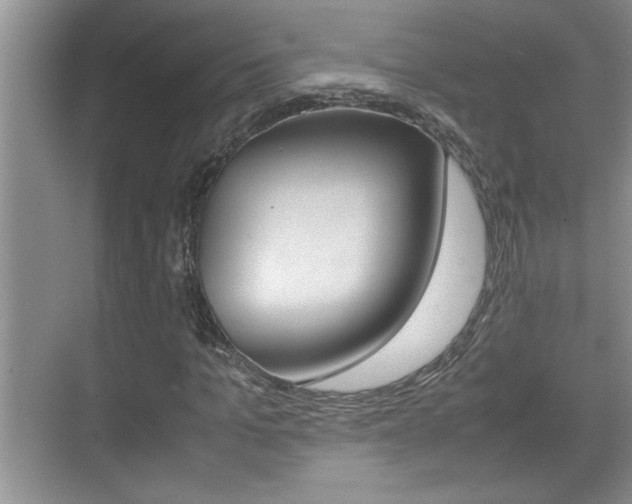 X0000070390965200606090856