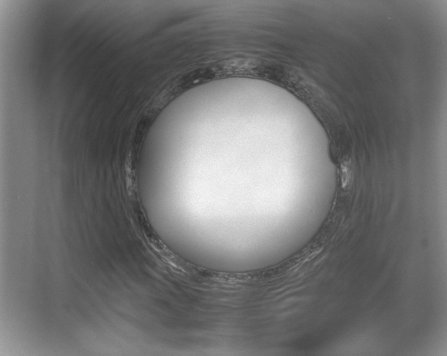 X0000070391011200606090855