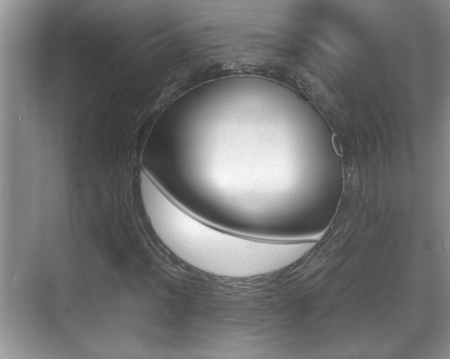 X0000070391012200606090855