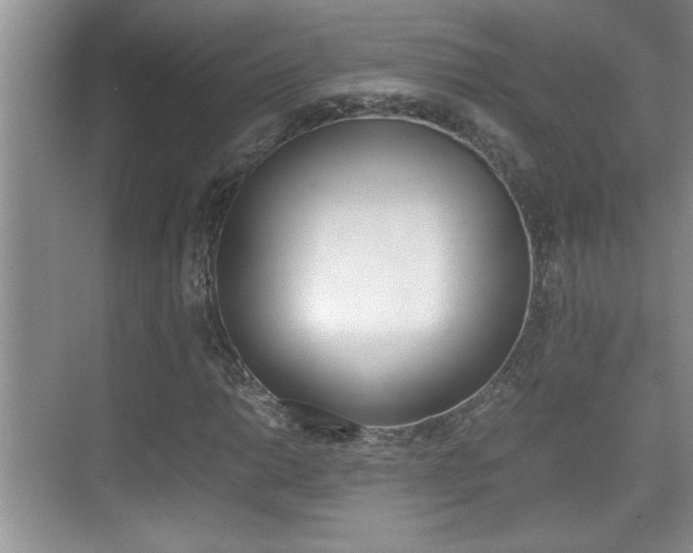 X0000070391014200606090855