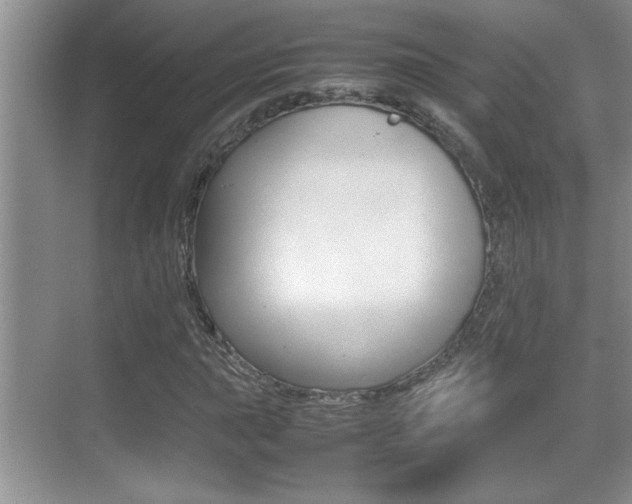 X0000070391015200606090855