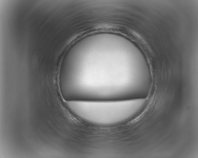 X0000070391017200606090855