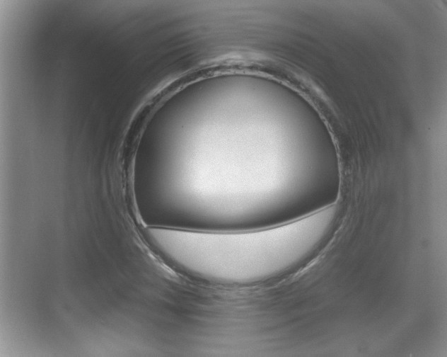 X0000070391018200606090855