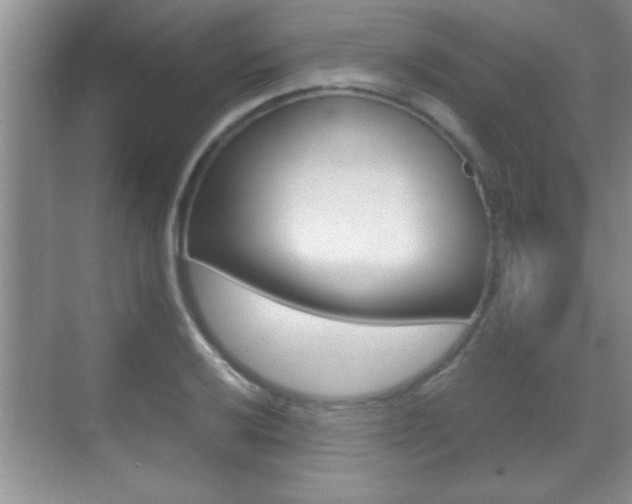 X0000070391032200606090855