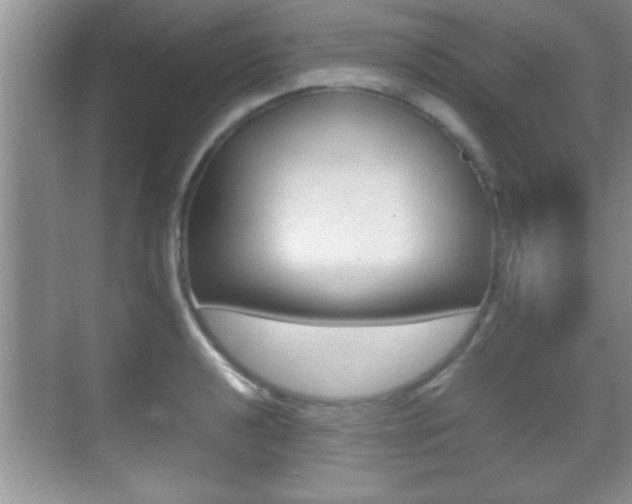 X0000070391040200606090855