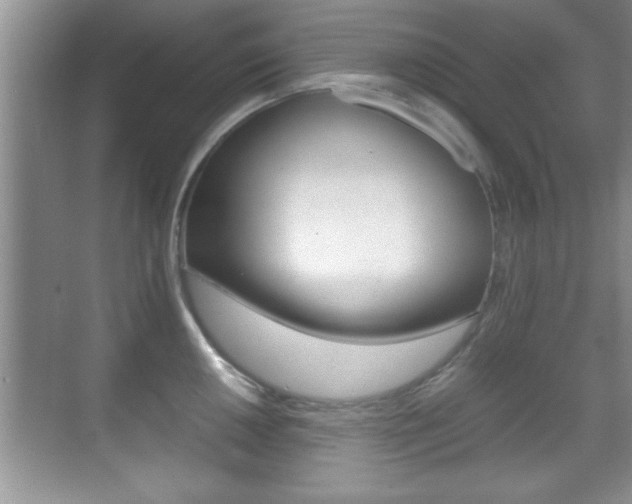 X0000070391050200606090856