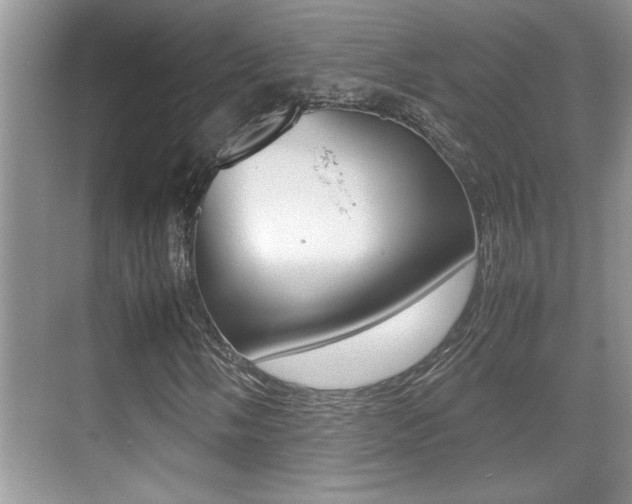X0000070391058200606090855