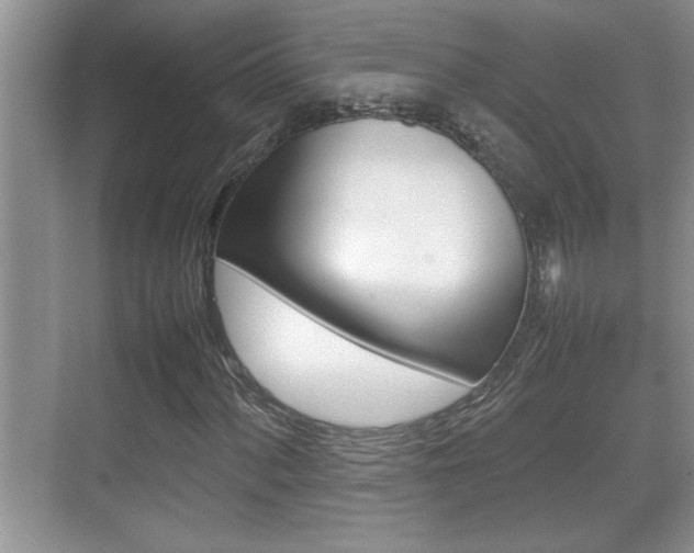 X0000070391060200606090855