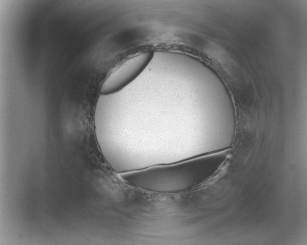 X0000070391063200606090855
