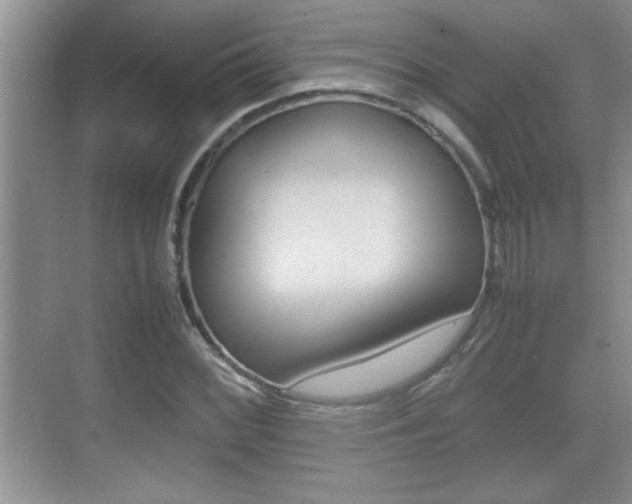 X0000070391068200606090855
