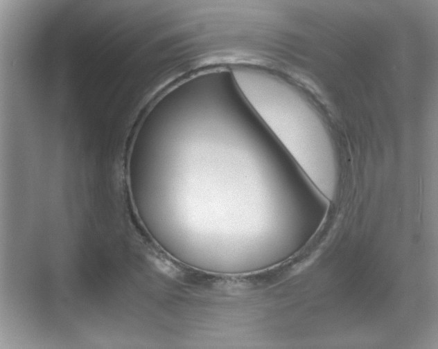 X0000070391073200606090855
