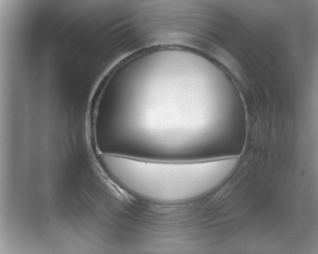 X0000070391076200606090854