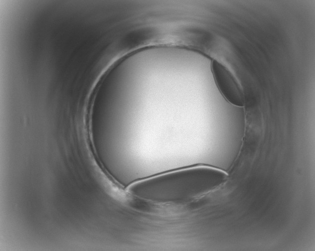 X0000070391091200606090854