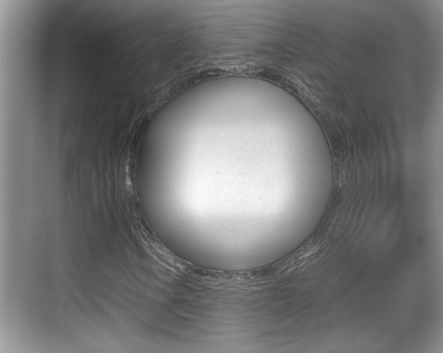 X0000070391106200606090853