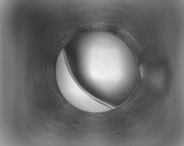 X0000070391107200606090853