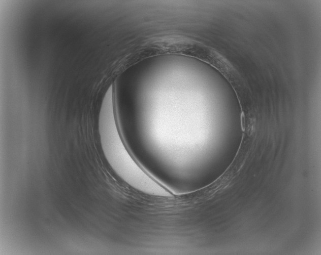 X0000070391108200606090853