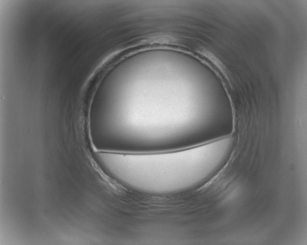X0000070391115200606090853