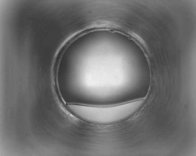 X0000070391120200606090853