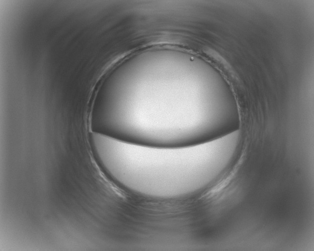 X0000070391121200606090853