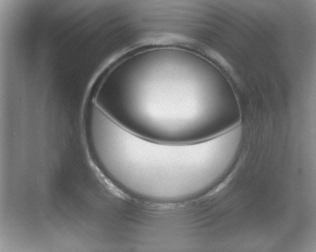 X0000070391122200606090854