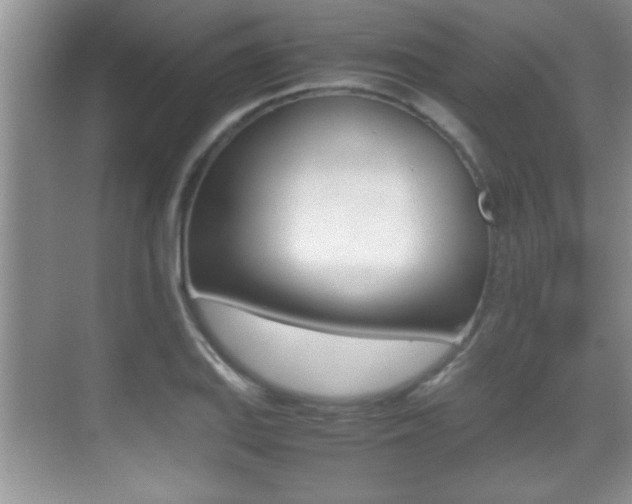 X0000070391127200606090854