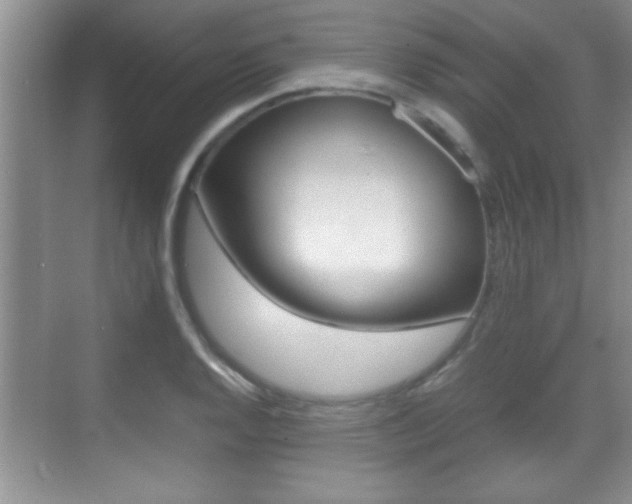 X0000070391128200606090854