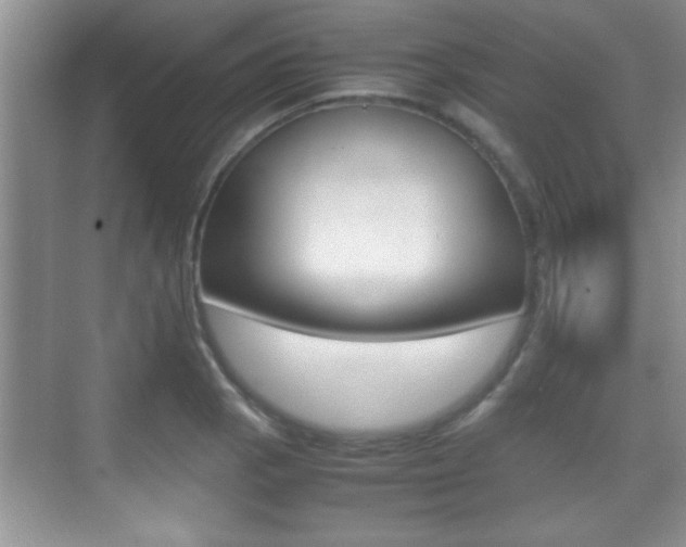 X0000070391129200606090854
