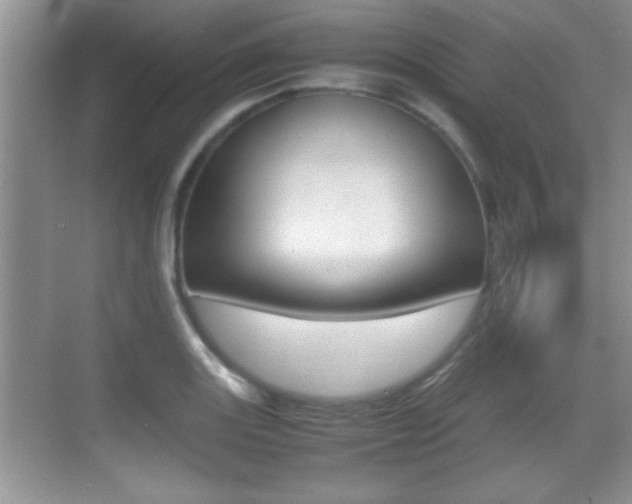 X0000070391131200606090854