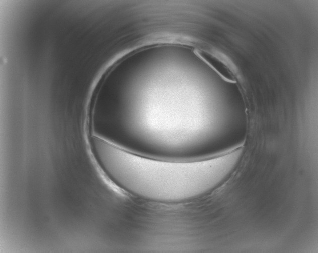 X0000070391136200606090854