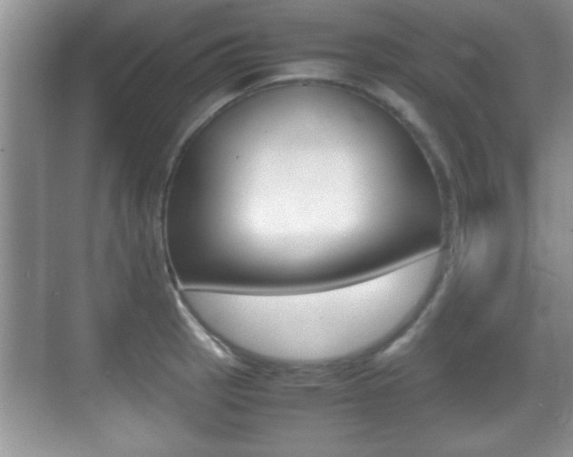 X0000070391137200606090854