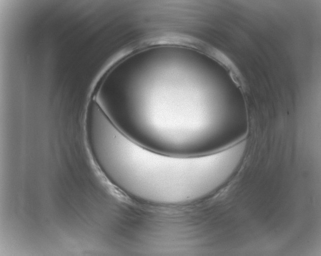 X0000070391138200606090854