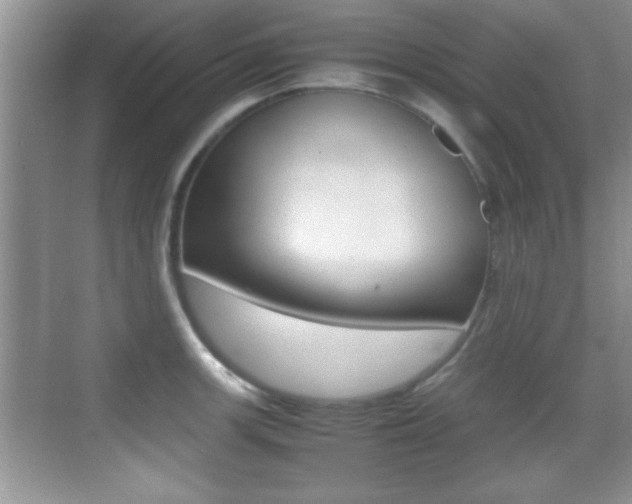 X0000070391139200606090854